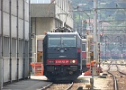 SH107830