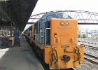 SH101286