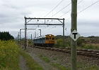 SH100770