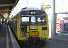 SH100790