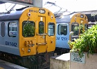 SH100795